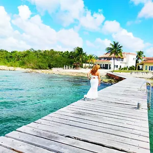 https://cozumel-beach-house-villa-debra.allrivieramayahotels.com